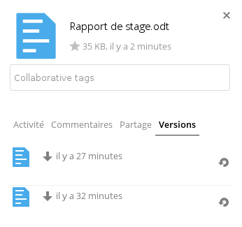 ../_images/files_versioning.png